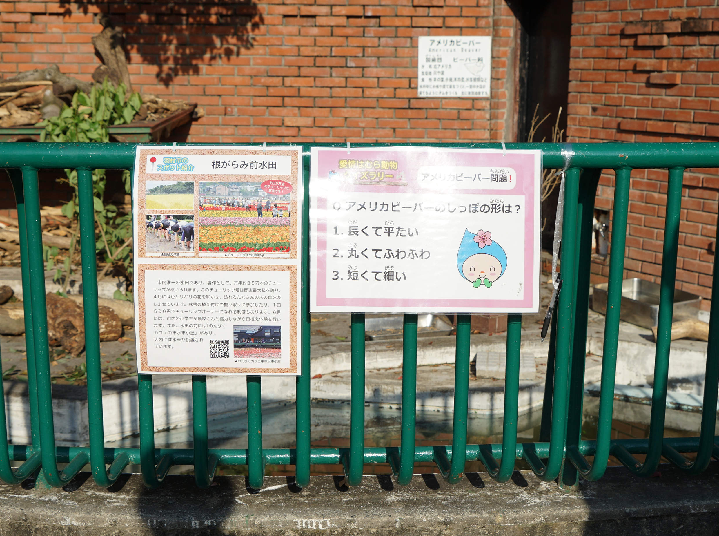 クイズラリーの様子2