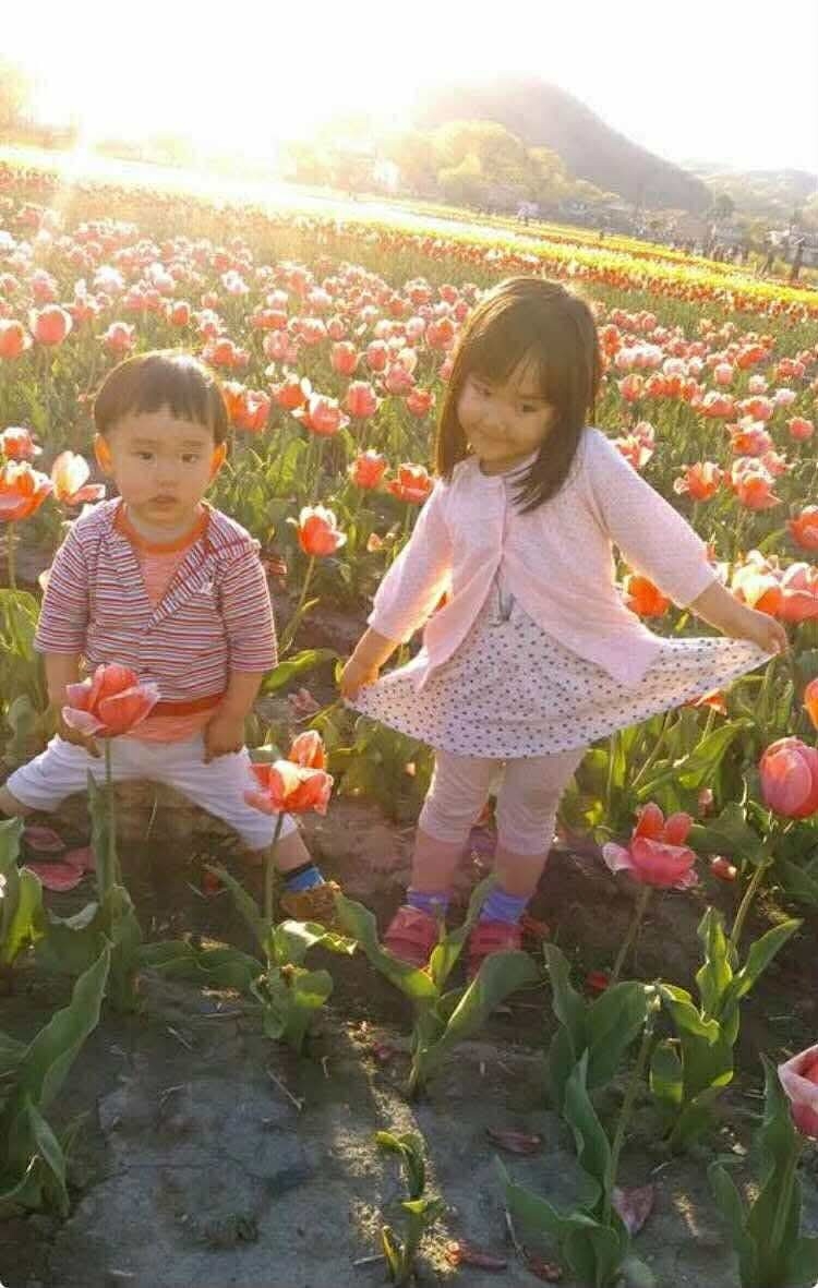 根がらみ前水田のチューリップ畑