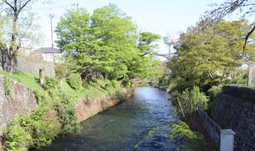 第2水門上から下流方向の玉川上水の風景