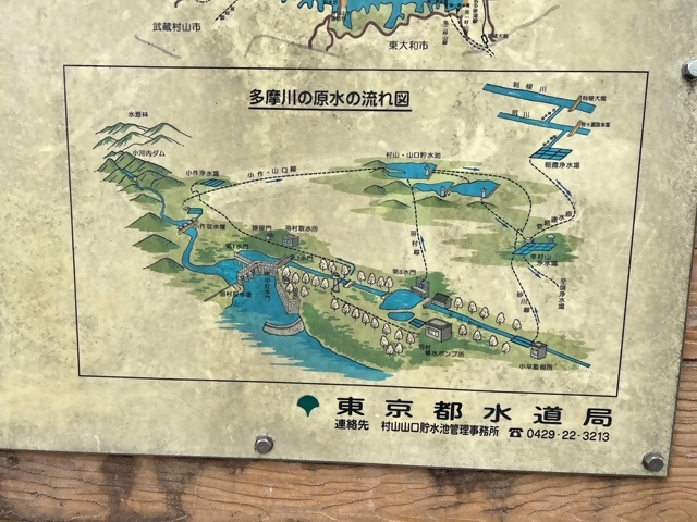東京都水道局作成の多摩川の原水の流れ図