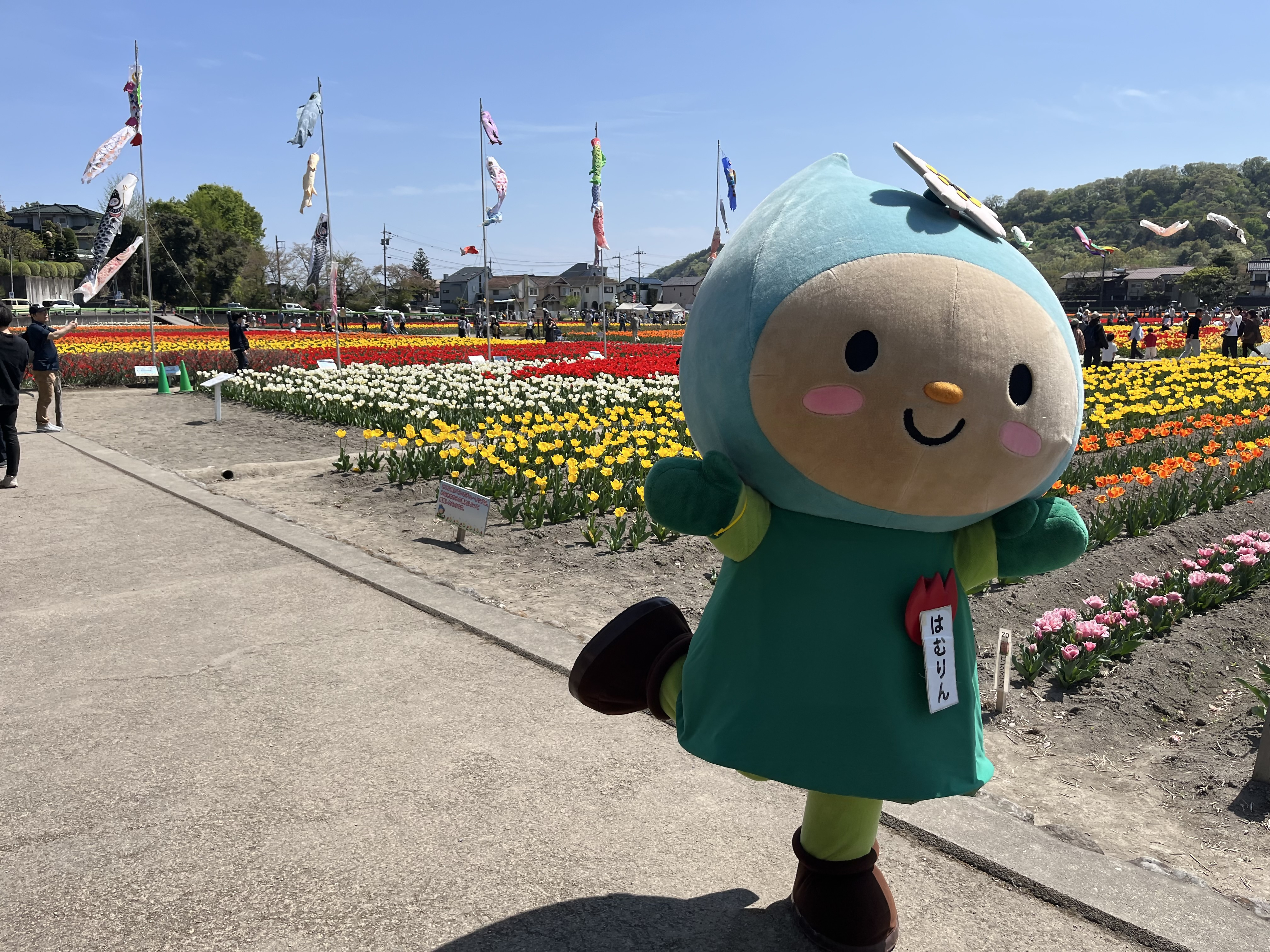 チューリップまつり2