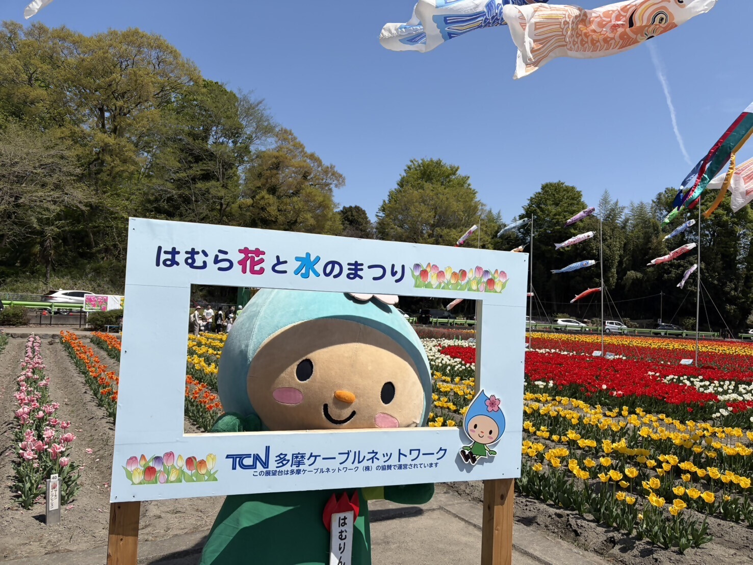 チューリップまつり1