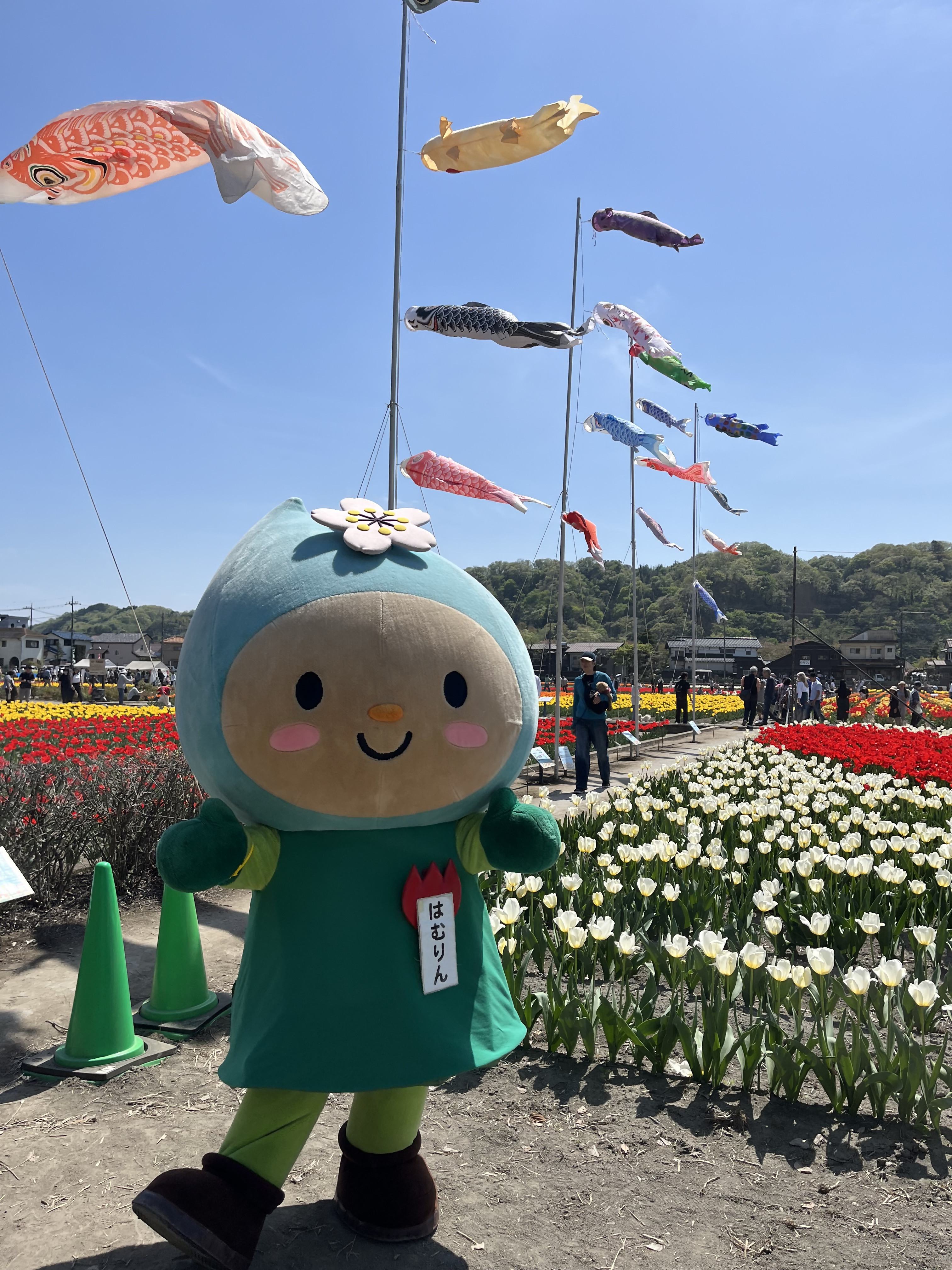 チューリップまつり3
