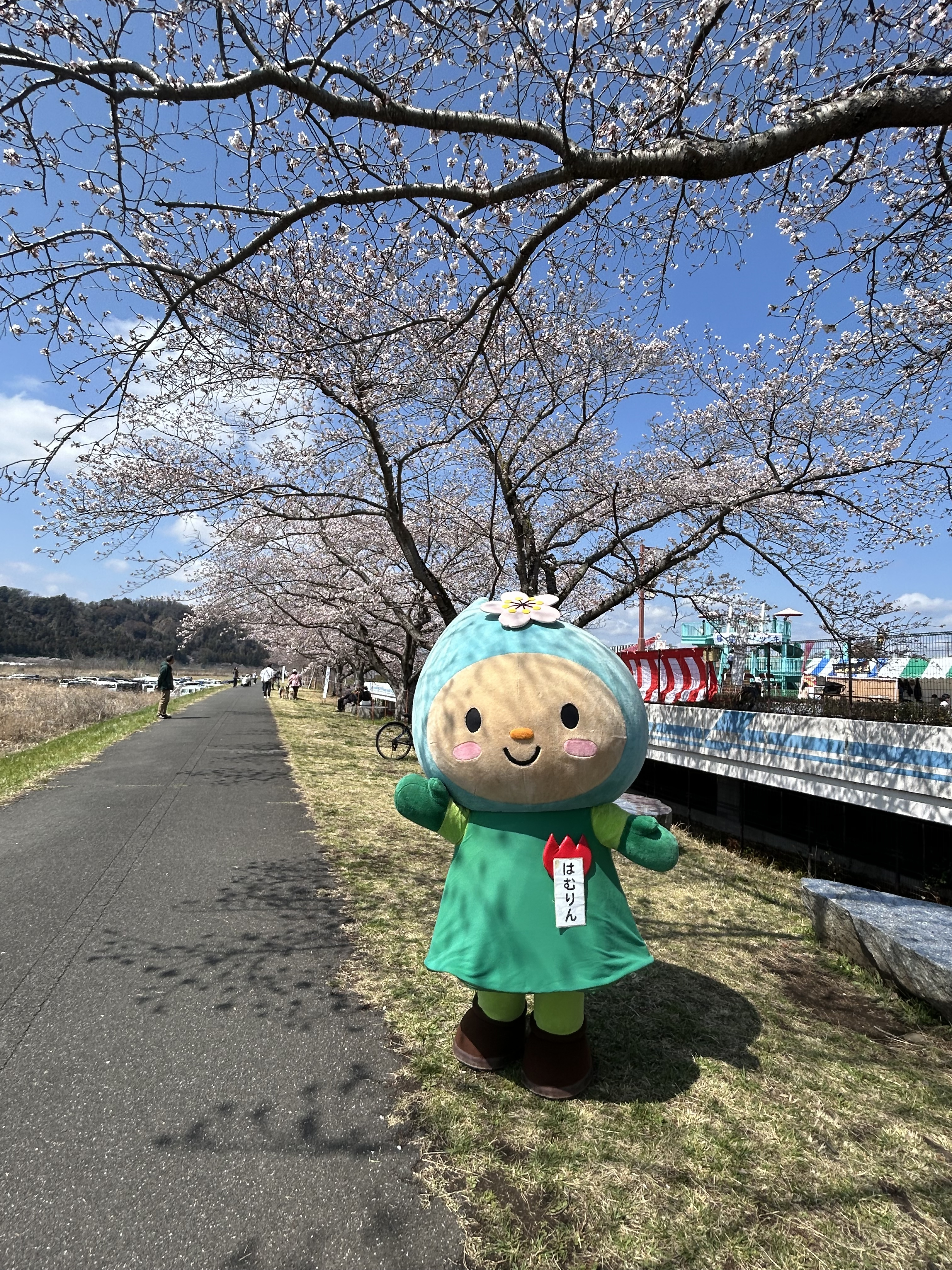 さくらまつり2
